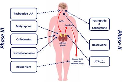 Medical Treatment of Cushing's Disease: An Overview of the Current and Recent Clinical Trials